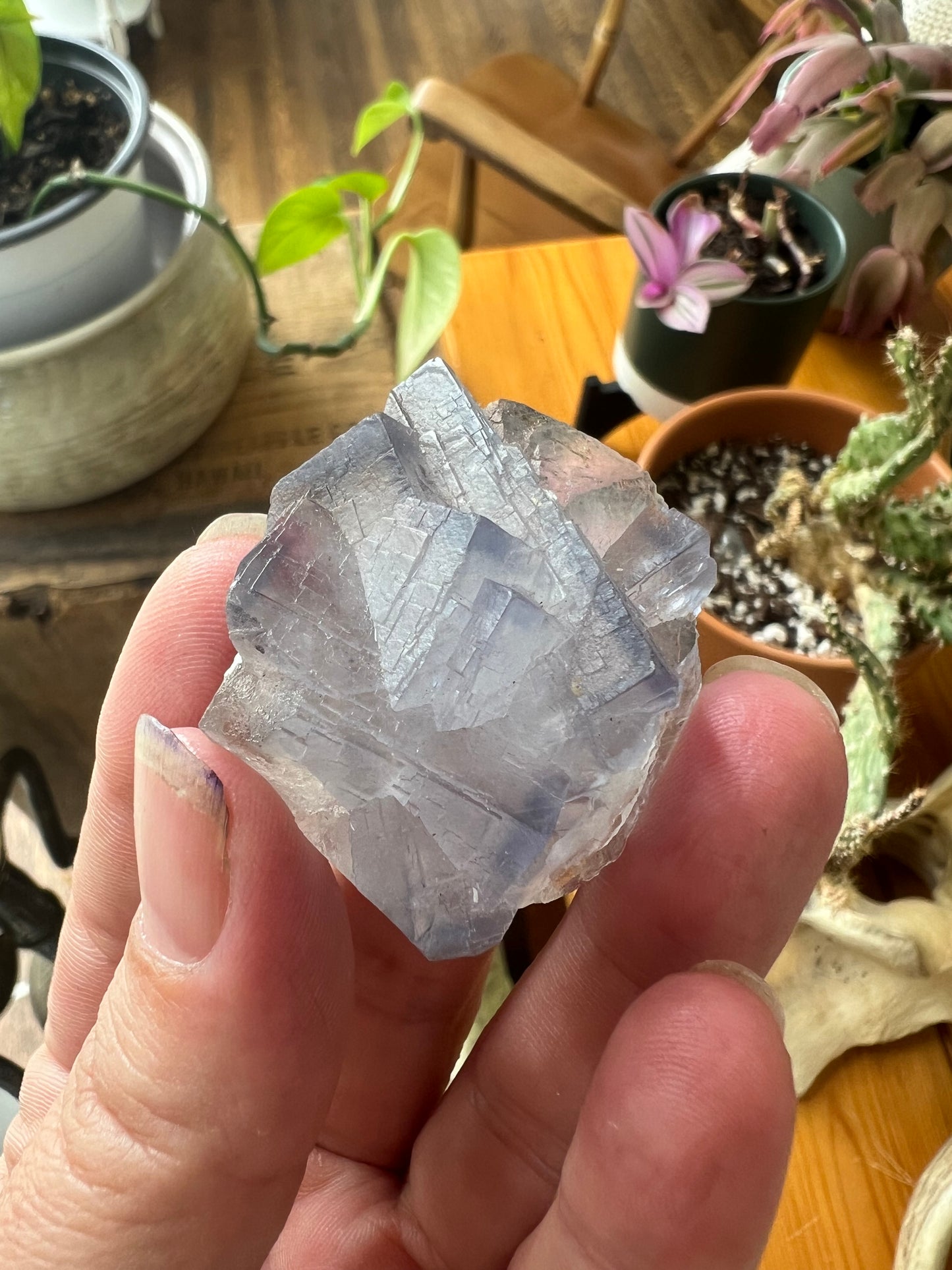 Blue Fluorite from Pakistan – 42g | 1.5" Around | Crystal of Mental Clarity, Calm & Intuitive Flow