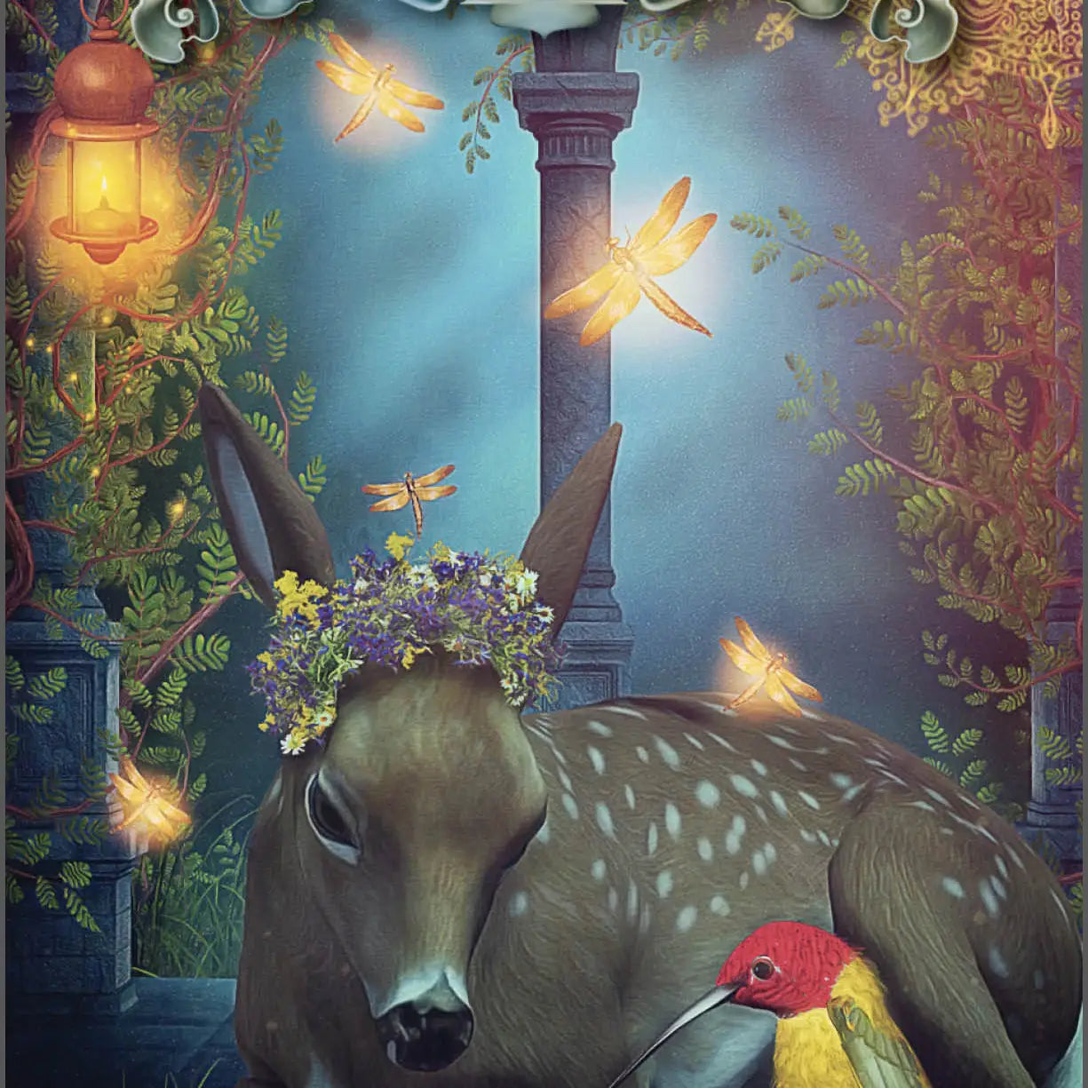 Hummingbird Wisdom Oracle Deck