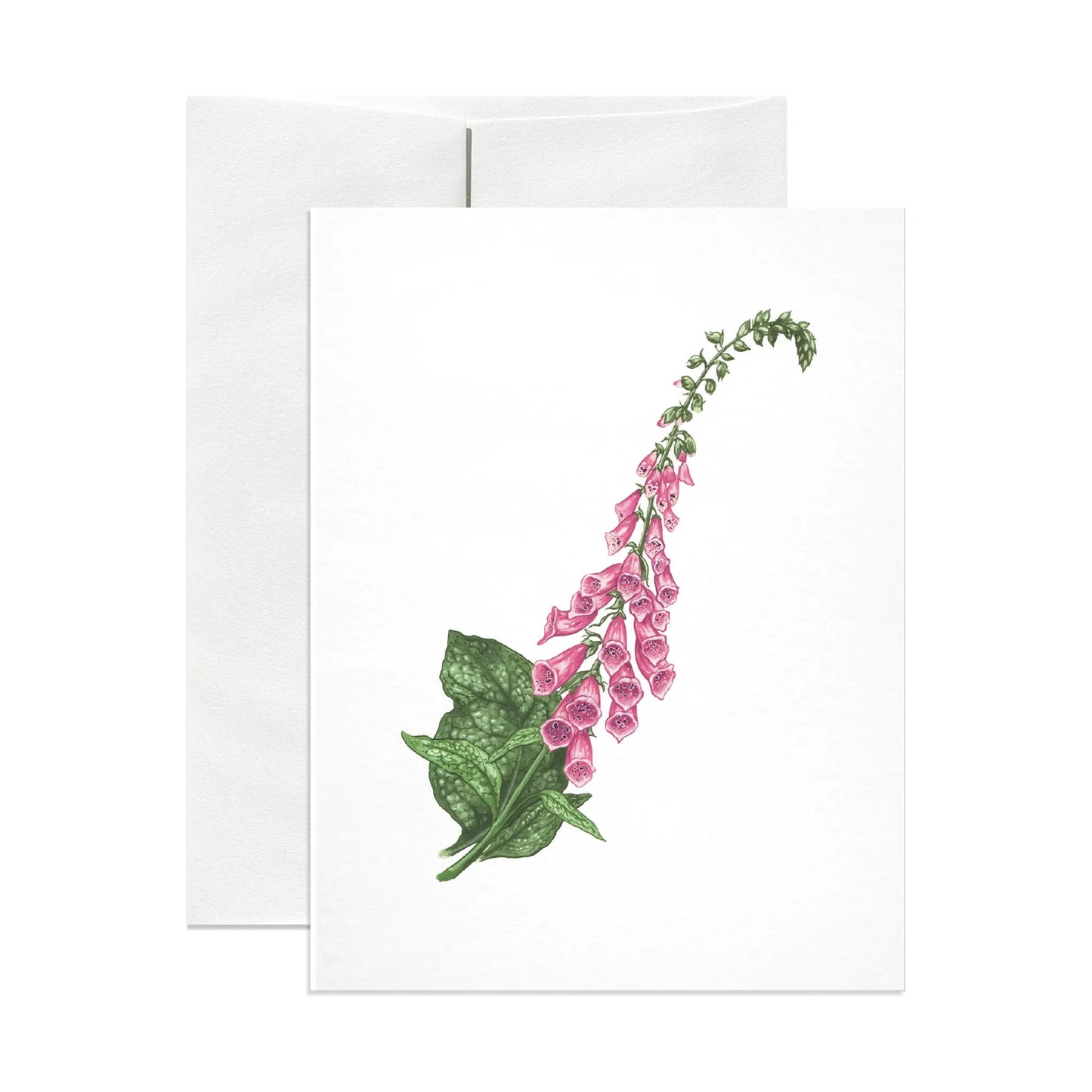 Foxglove Blank Note Card