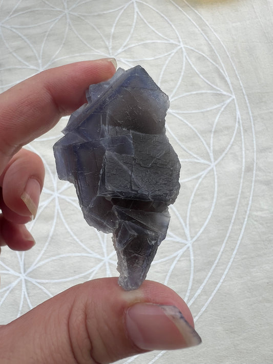 Blue Fluorite from Pakistan – 44g | 1.5" Approx | Crystal of Intuition, Calm & Clear Expression