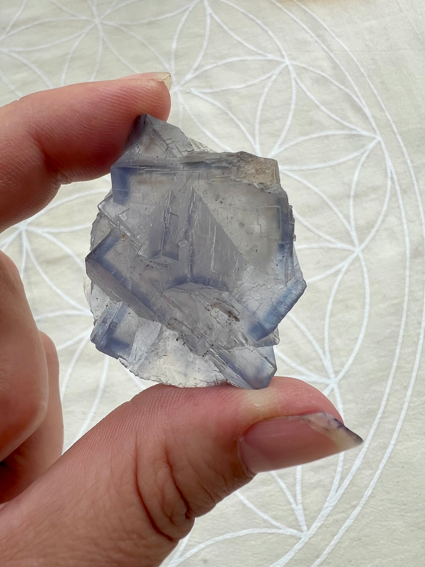 Blue Fluorite from Pakistan – 42g | 1.5" Around | Crystal of Mental Clarity, Calm & Intuitive Flow
