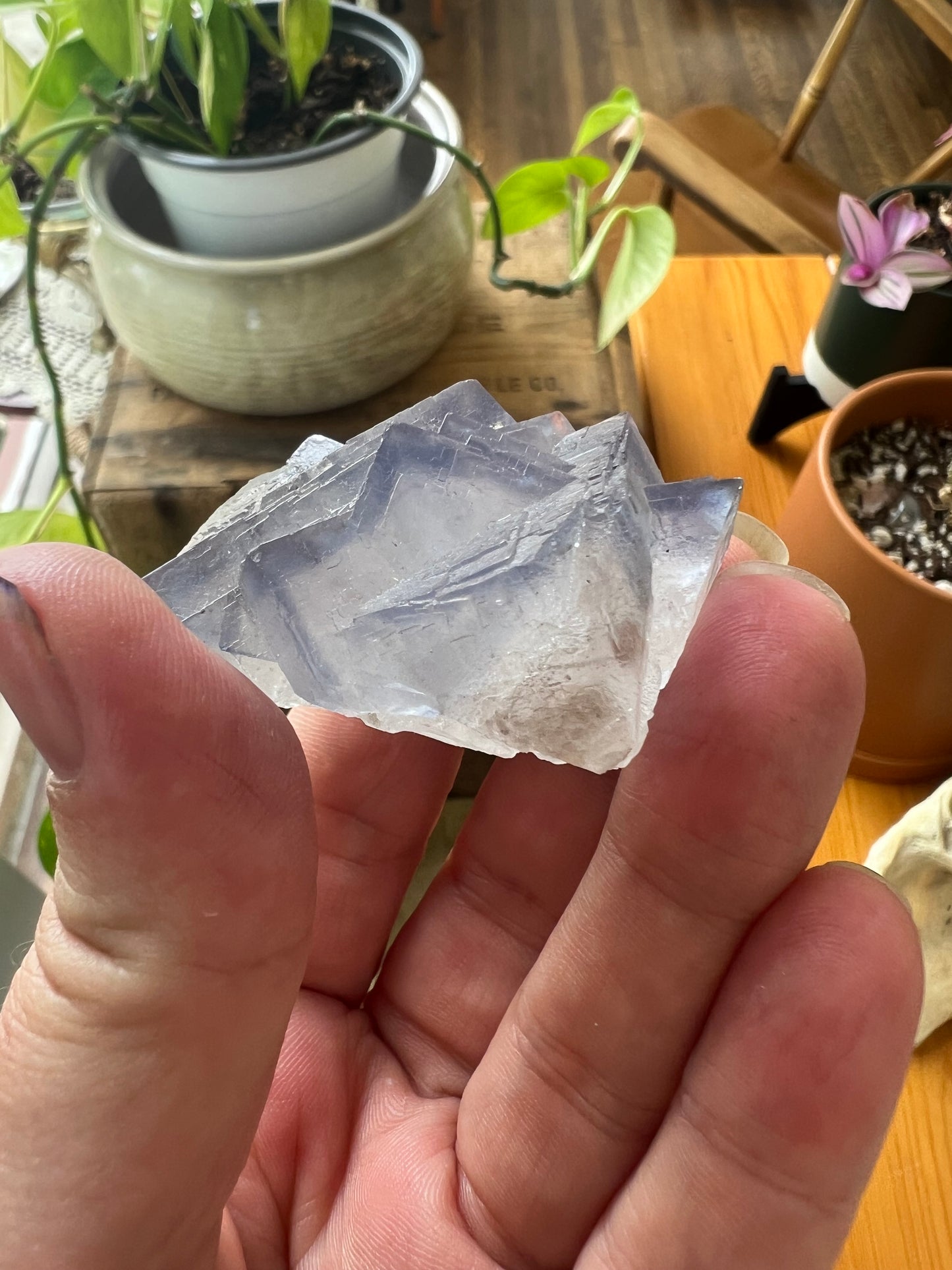 Blue Fluorite from Pakistan – 42g | 1.5" Around | Crystal of Mental Clarity, Calm & Intuitive Flow