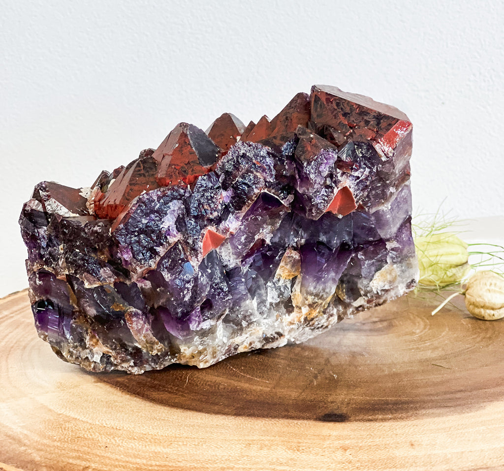 Amethyst Cluster "Alien Amethyst" Hematite and Iron Included Amethyst
