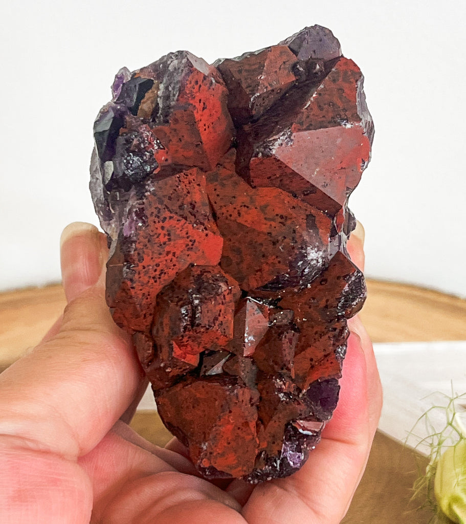 Red popular Amethyst Crystal Cluster