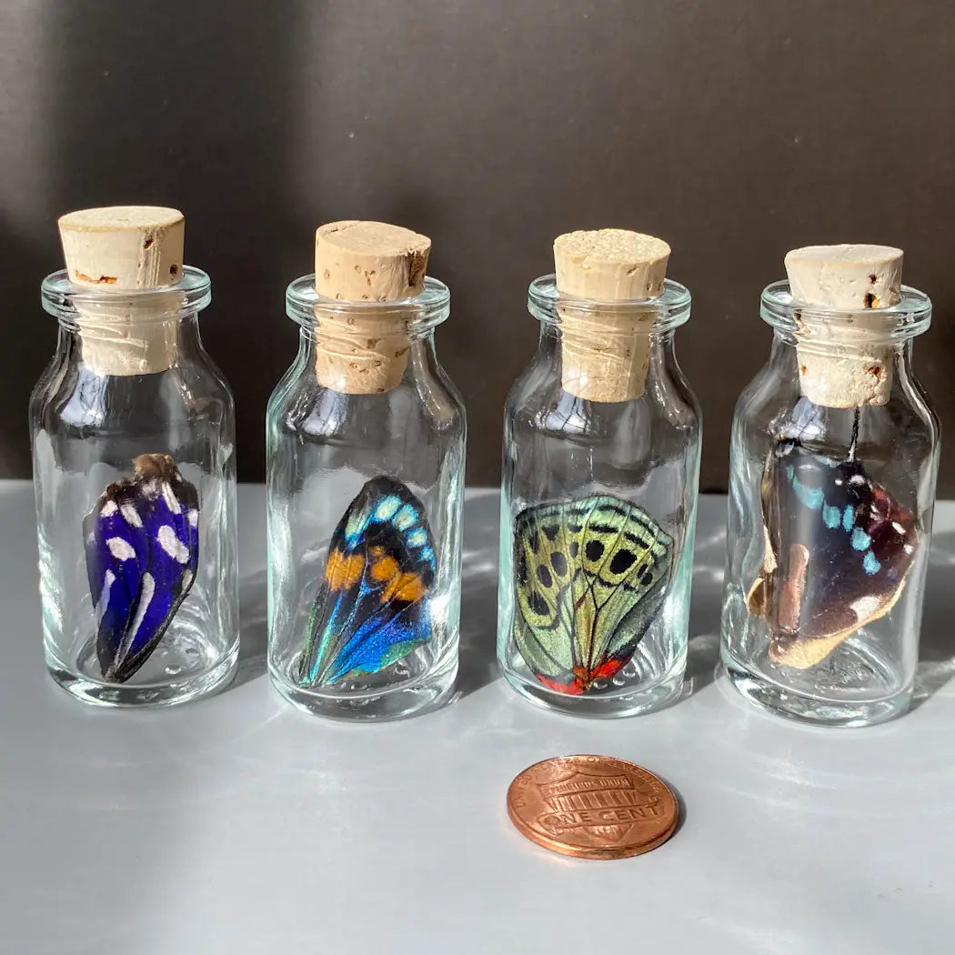 Small Bottle Special Butterfly Wing Jar