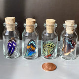Small Bottle Special Butterfly Wing Jar