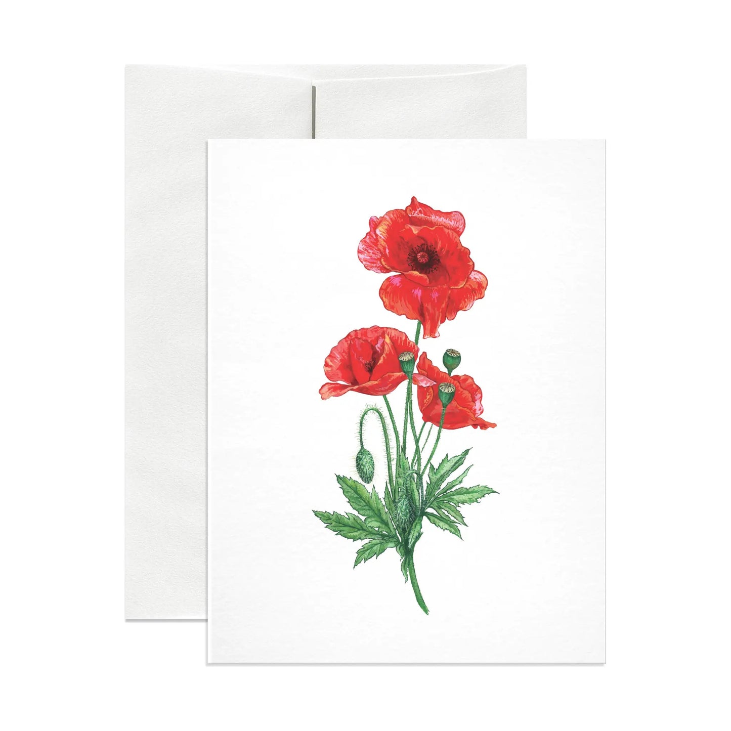 Poppy Blank Note Card