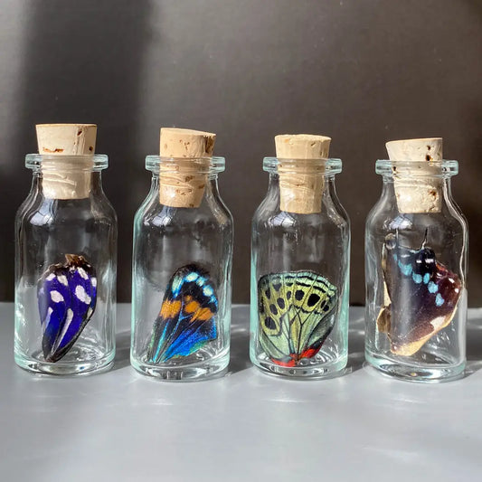 Small Bottle Special Butterfly Wing Jar