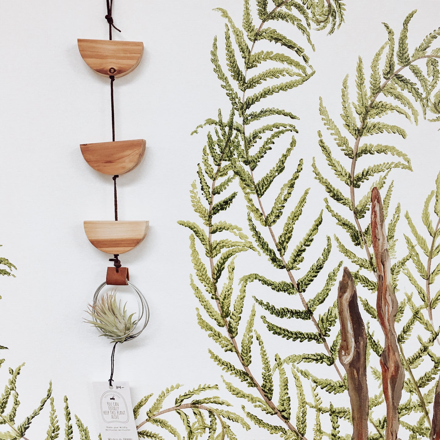 Hanging Reclaimed Wood and Suede Air Plant Holder